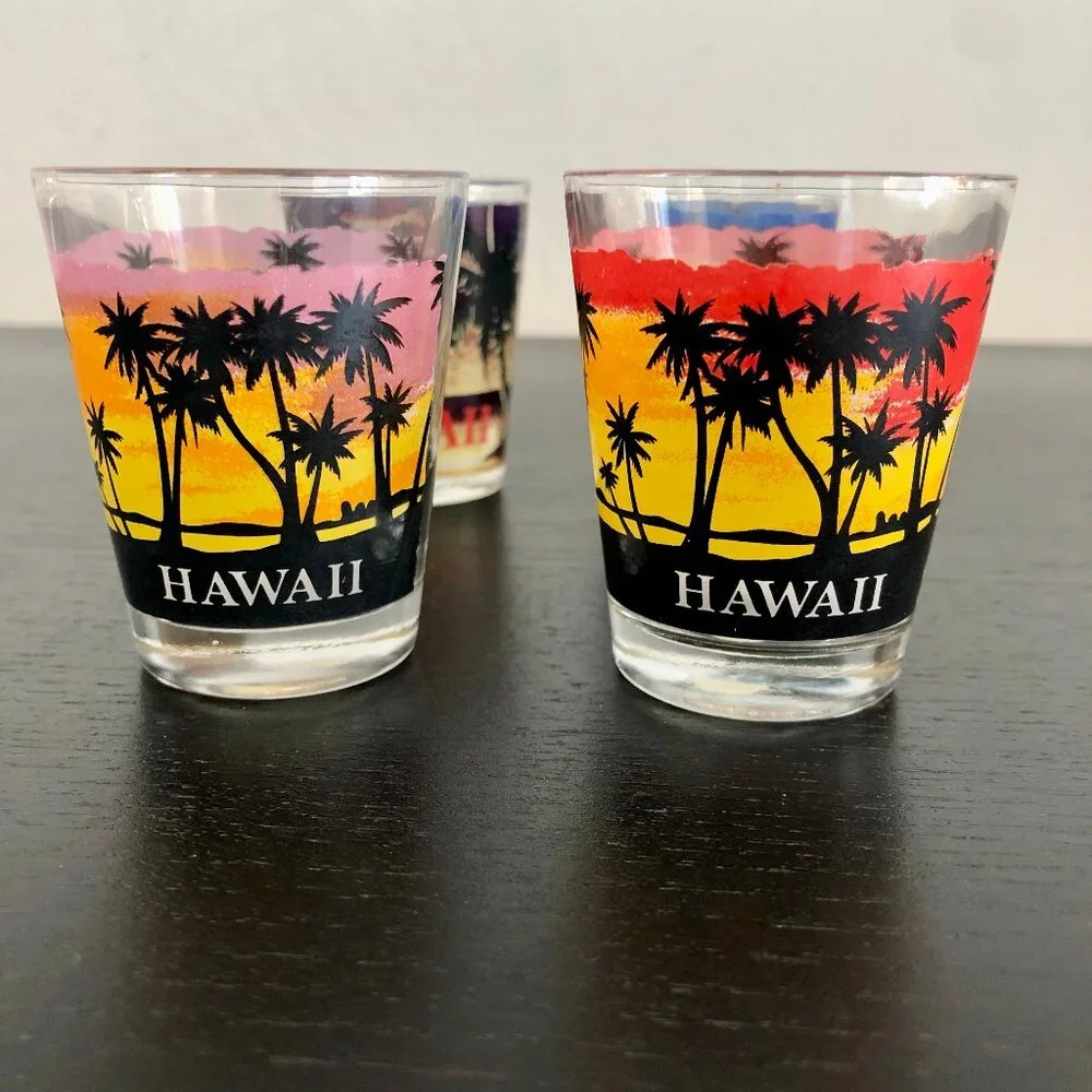 Set of 4 Shot Glasses from HAWAII